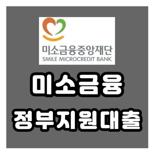 미소금융 정부지원대출