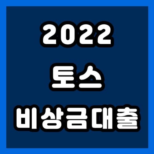 2022년 토스 비상금대출 300만원 빌리기